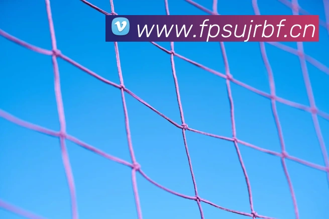 星空体育在线网站品牌故事